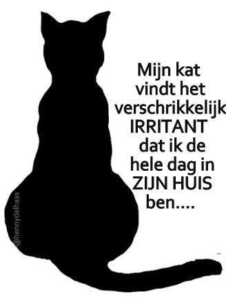 Klik voor een leuk filmpje